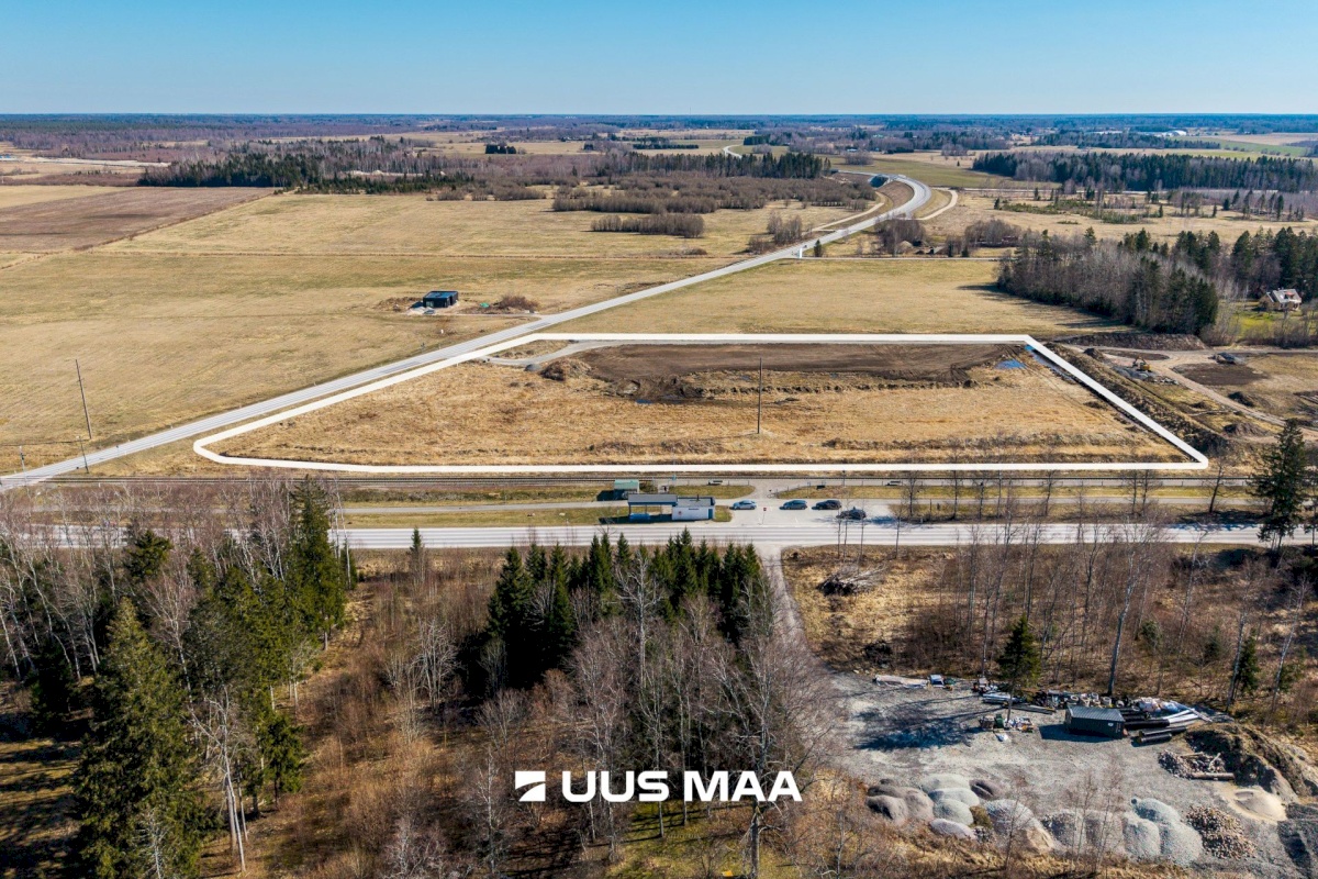 Saku vald, Kajamaa küla, Kuninga