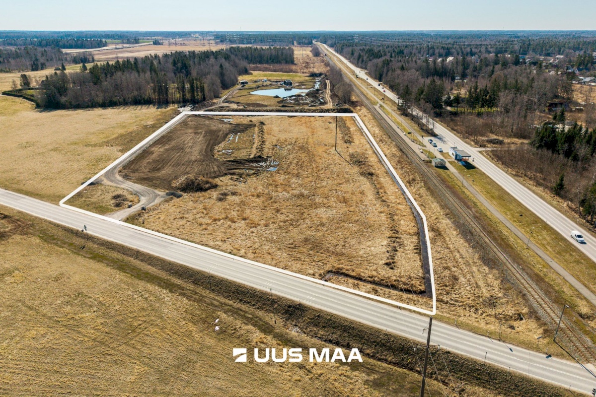 Saku vald, Kajamaa küla, Kuninga