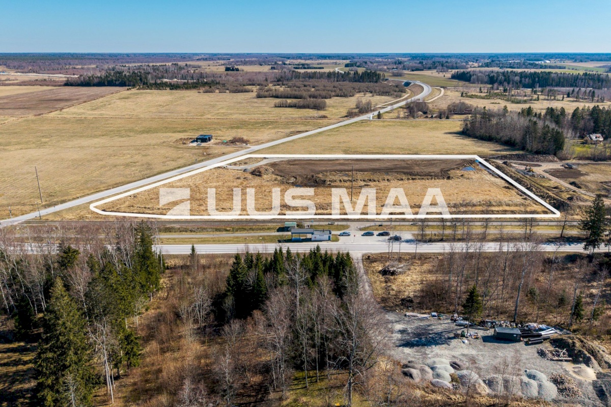 Saku vald, Kajamaa küla, Kuninga