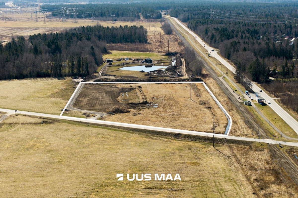 Saku vald, Kajamaa küla, Kuninga