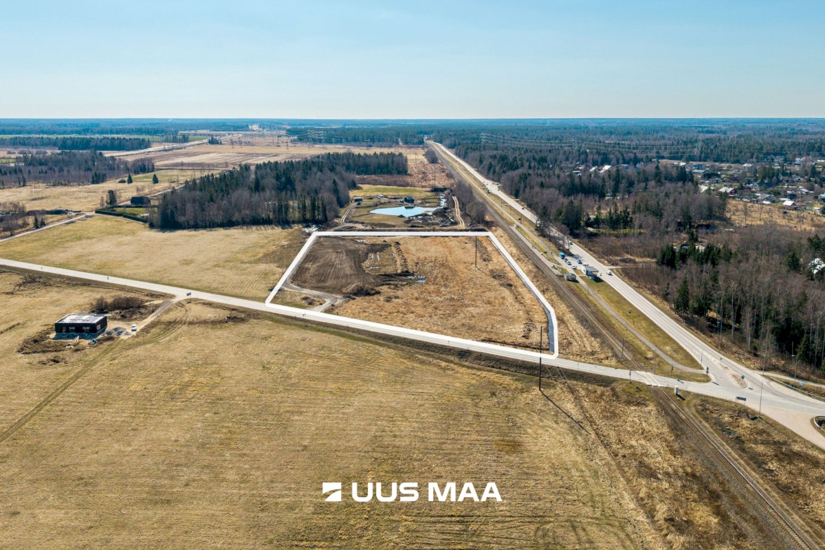 Saku vald, Kajamaa küla, Kuninga