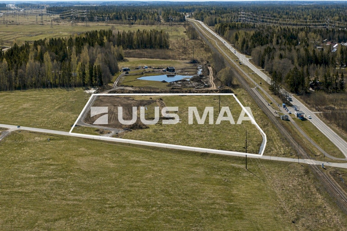 Saku vald, Kajamaa küla, Kuninga