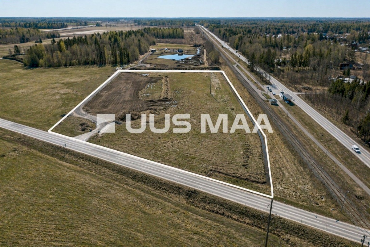 Saku vald, Kajamaa küla, Kuninga