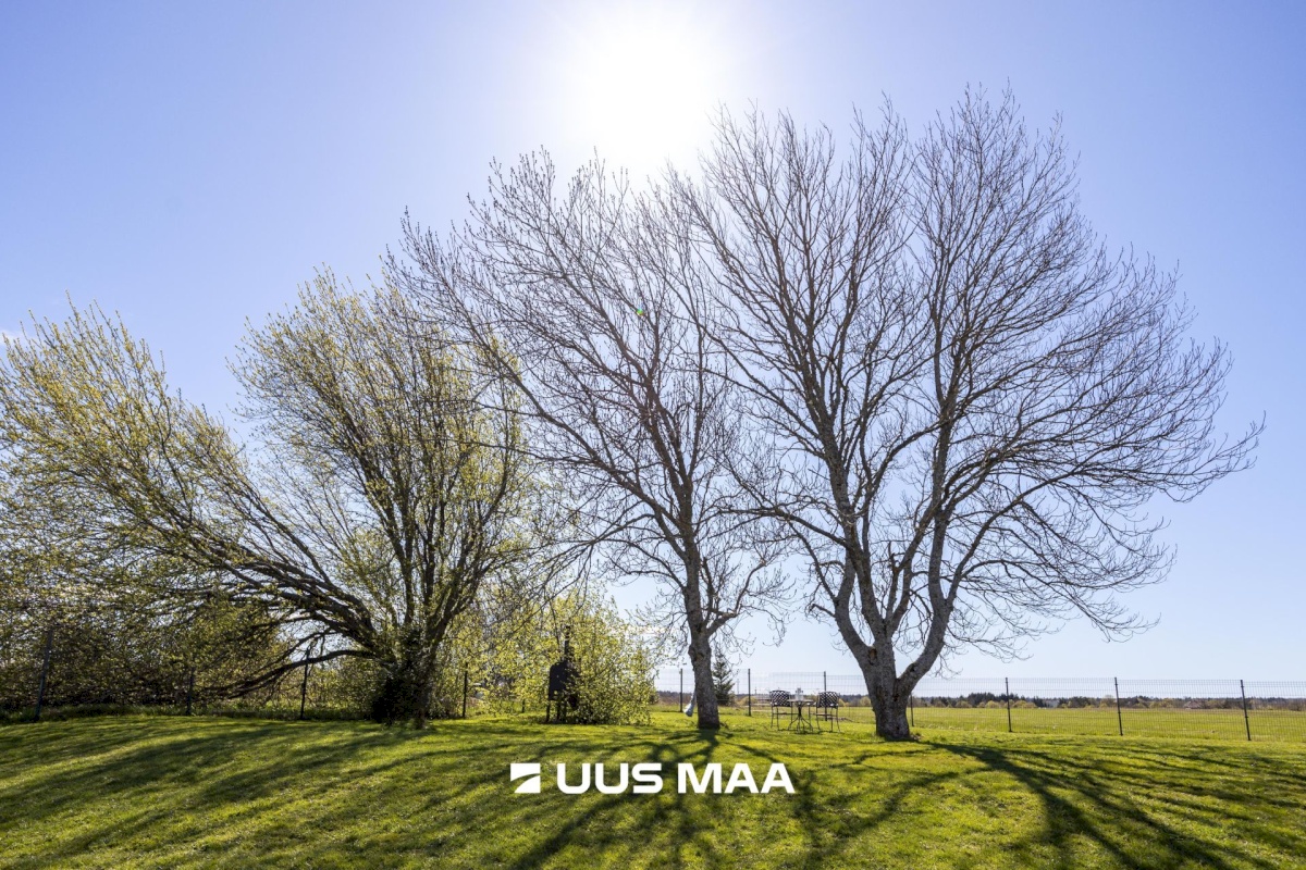 Harku vald, Ilmandu küla, Kadaka tee