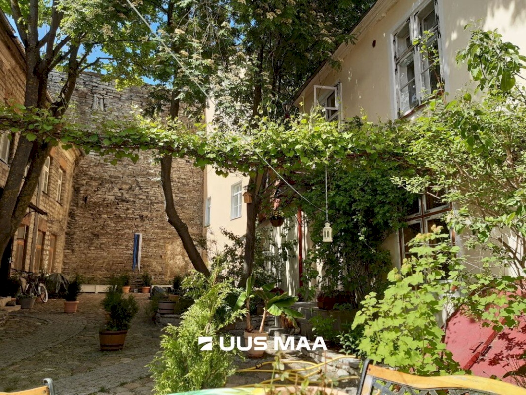 Tallinn, Kesklinna linnaosa, Vanalinn, Uus 11