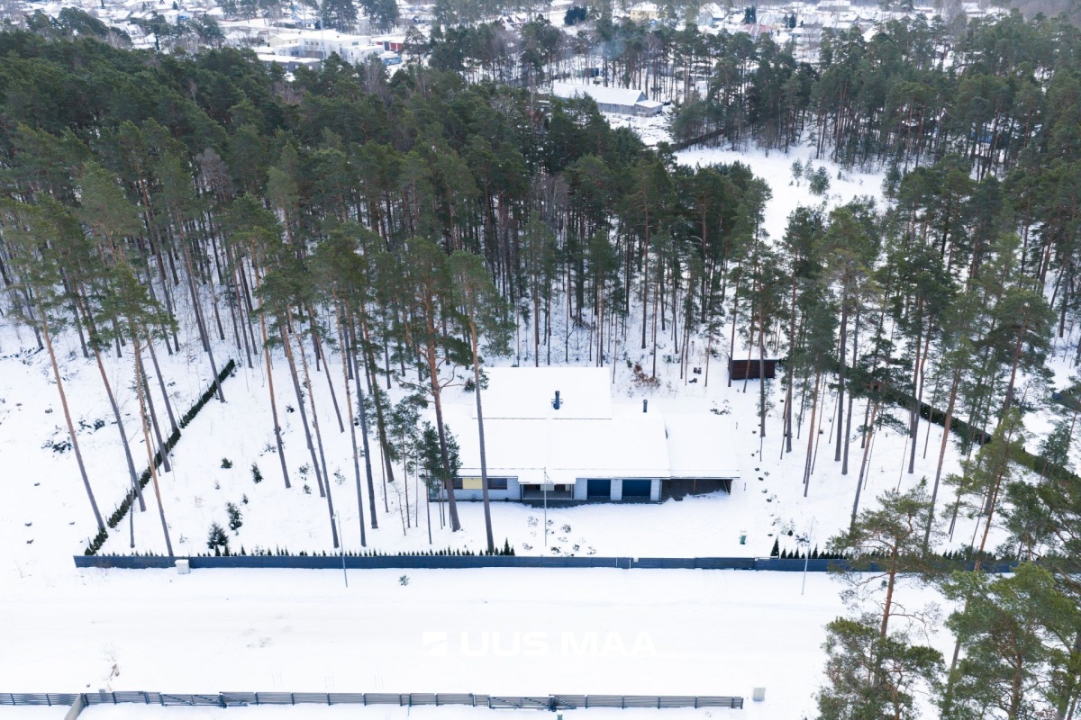 Haapsalu linn, Haapsalu linn, Lõokese 11
