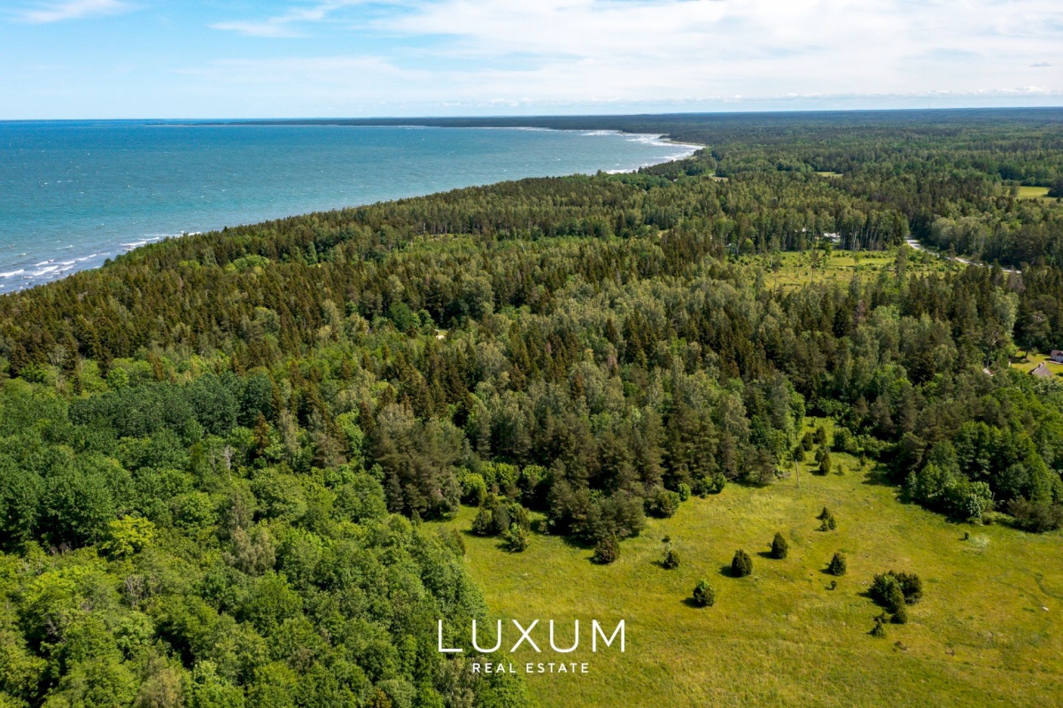 Saaremaa vald, Liiküla, Kurdi