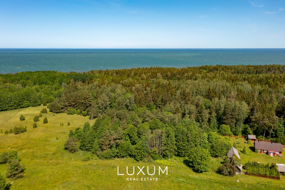 Saaremaa vald, Liiküla, Kurdi