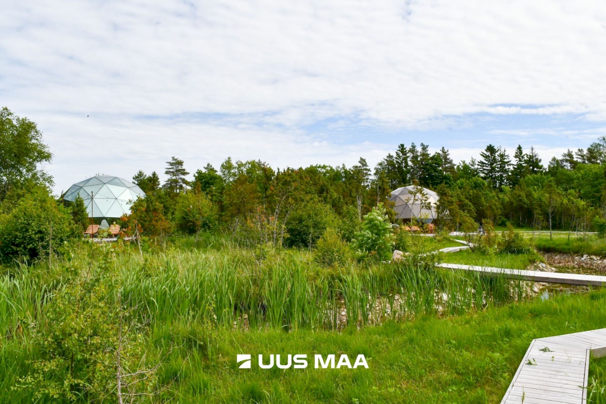 Lääneranna vald, Virtsu alevik, Puhtu tee 14