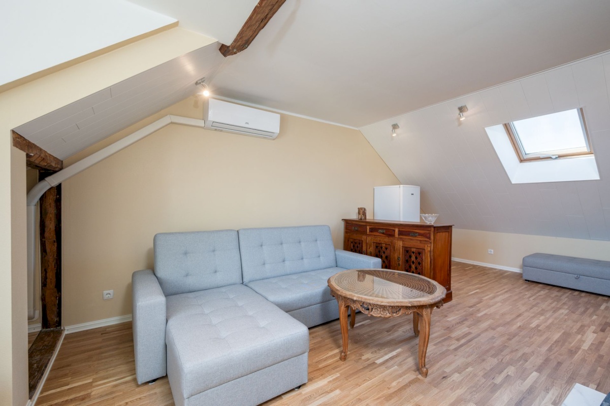 Tartu linn, Tartu linn, Raadi-Kruusamäe, Mäe 44