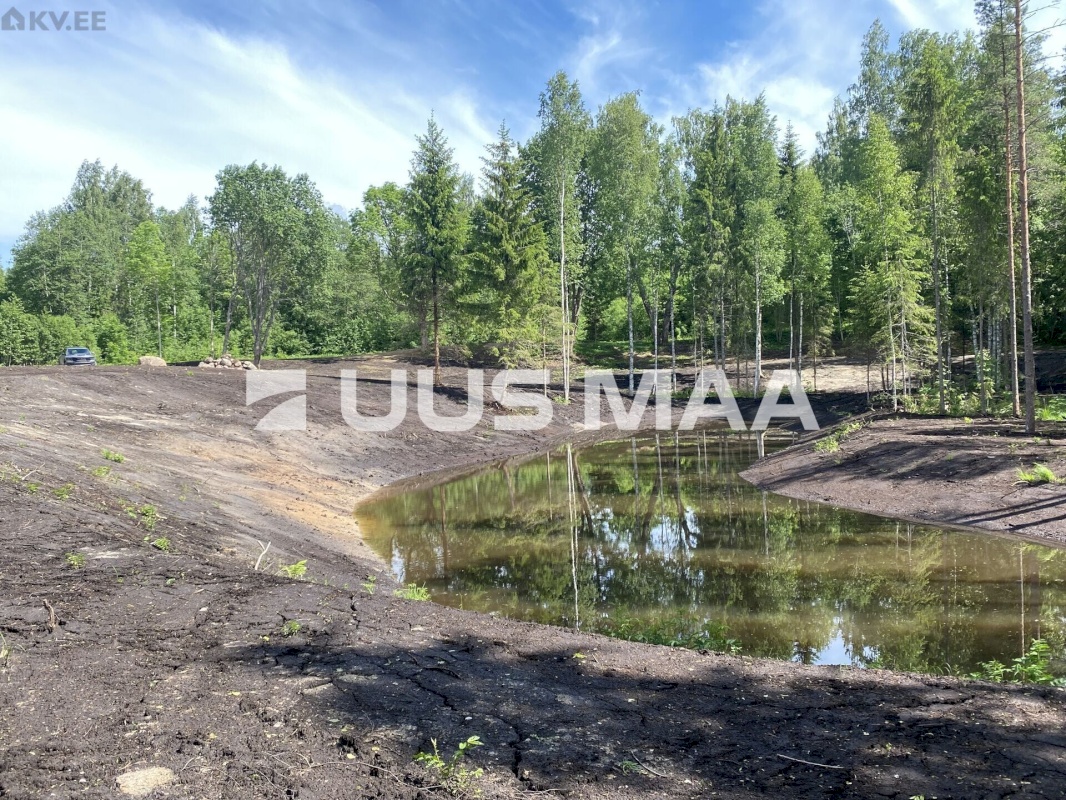 Otepää vald, Pilkuse küla, Nurgametsa