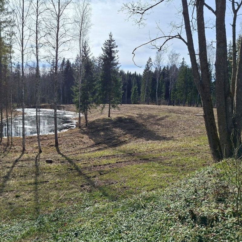 Otepää vald, Pilkuse küla, Nurgametsa