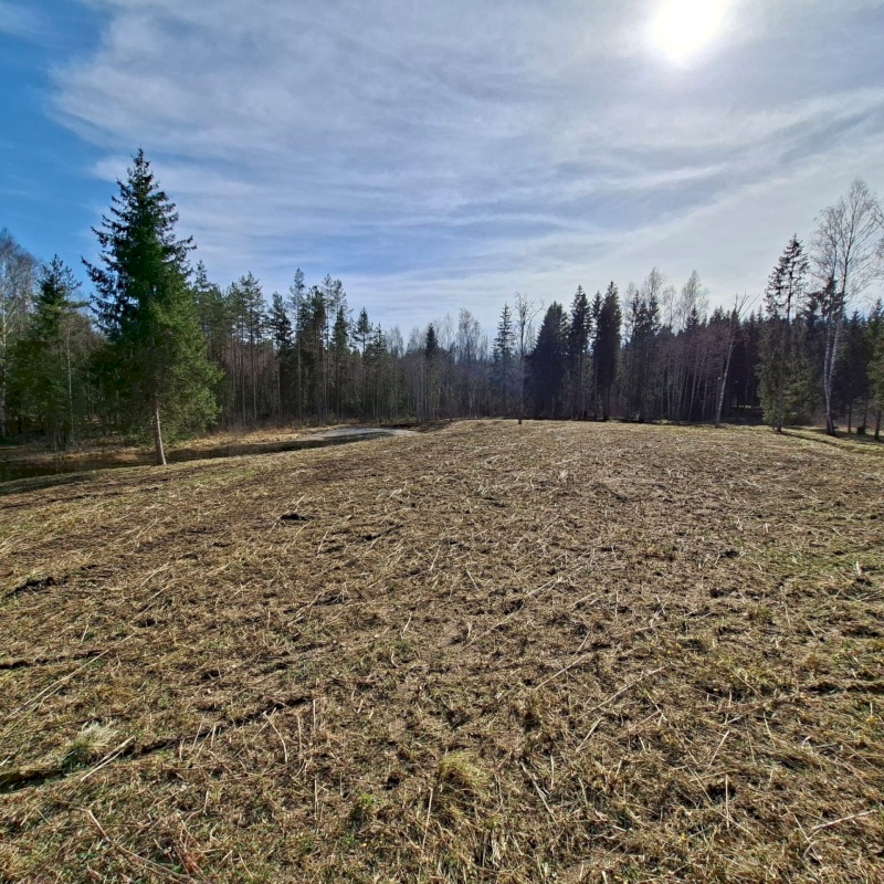 Otepää vald, Pilkuse küla, Nurgametsa