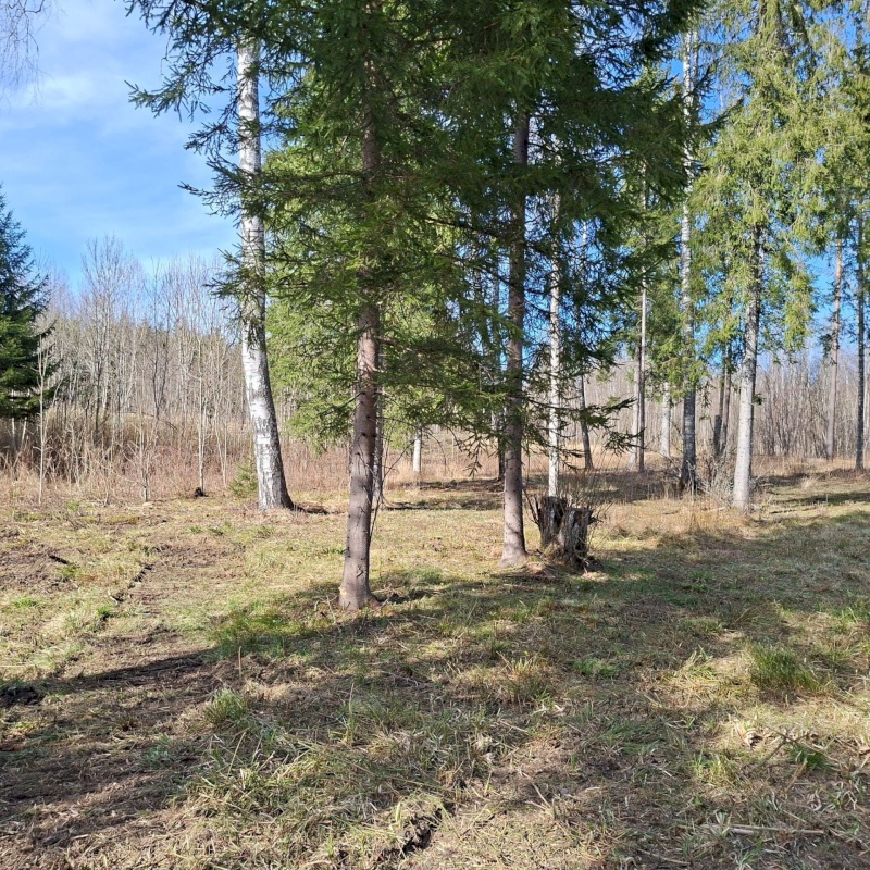 Otepää vald, Pilkuse küla, Nurgametsa