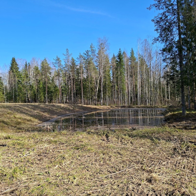 Otepää vald, Pilkuse küla, Nurgametsa