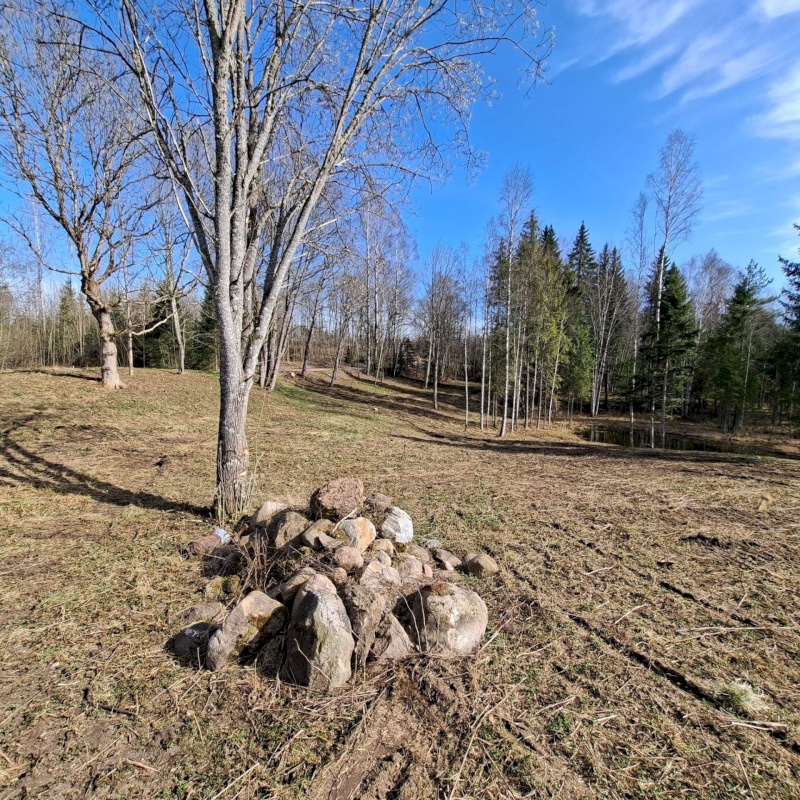 Otepää vald, Pilkuse küla, Nurgametsa