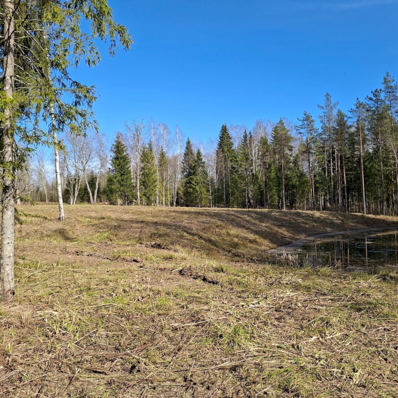 Otepää vald, Pilkuse küla, Nurgametsa