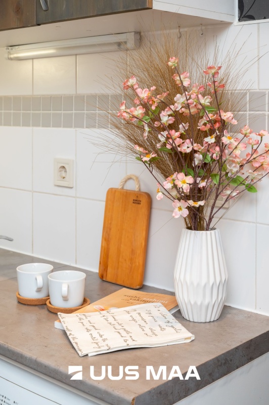 Tallinn, Põhja-Tallinna linnaosa, Tööstuse 24