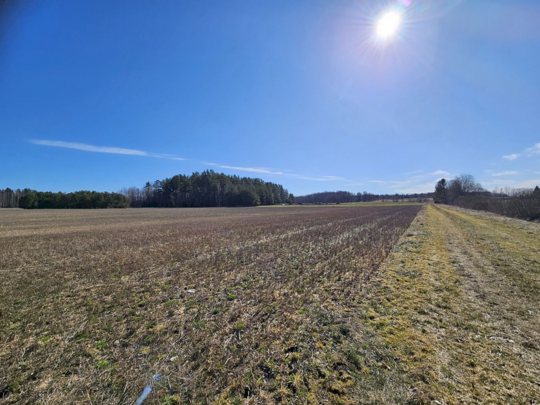 Haljala vald, Sagadi küla, Aasapõllu