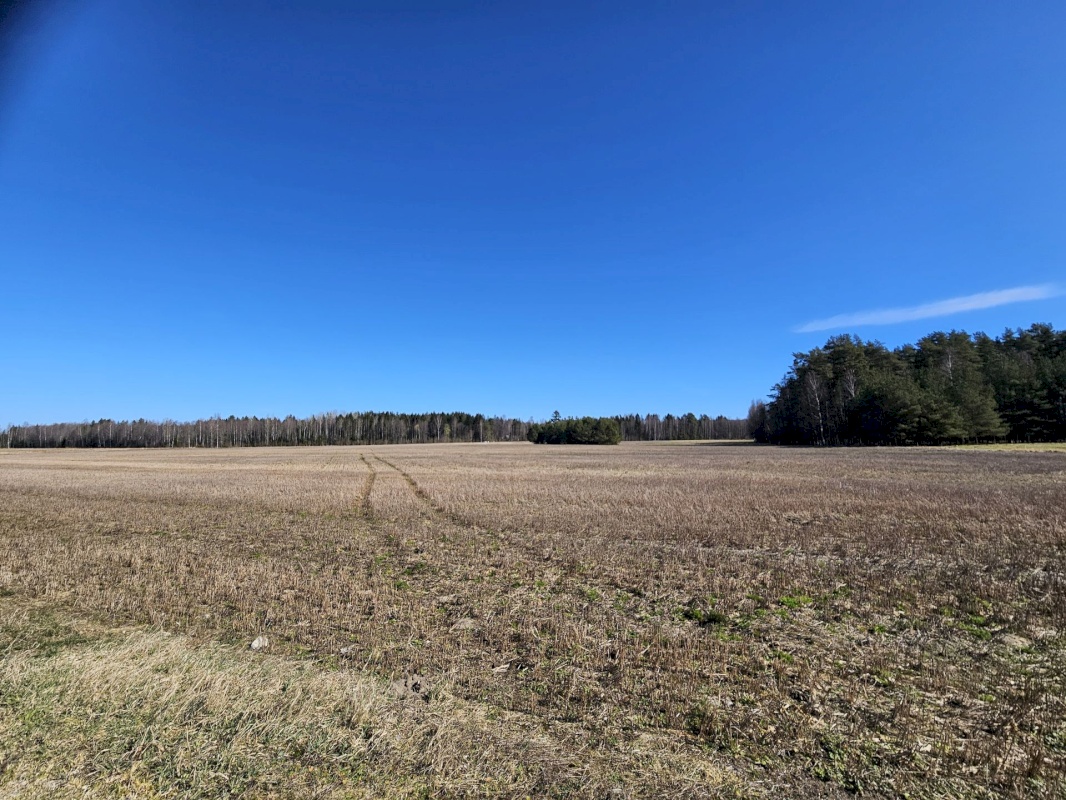 Haljala vald, Sagadi küla, Aasapõllu