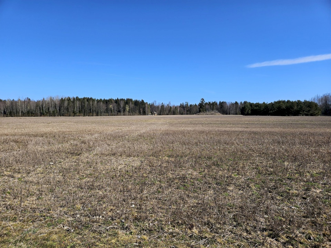 Haljala vald, Sagadi küla, Aasapõllu