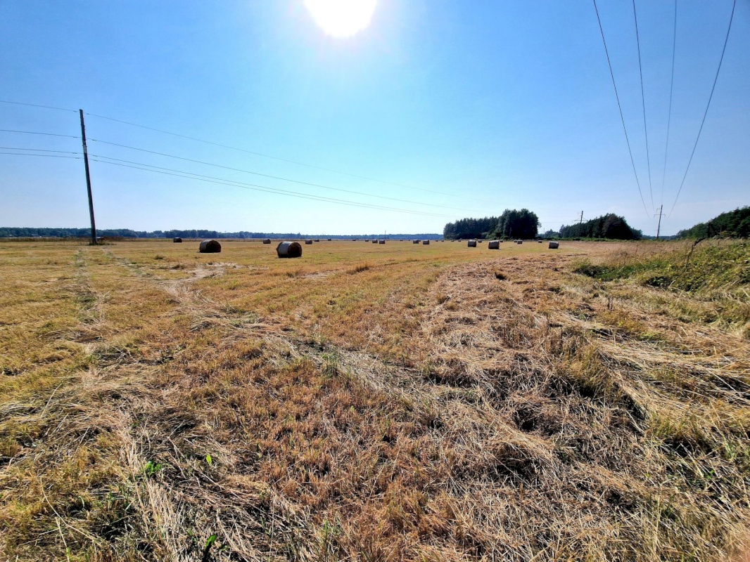 Lääneranna vald, Nurme küla, Sigala