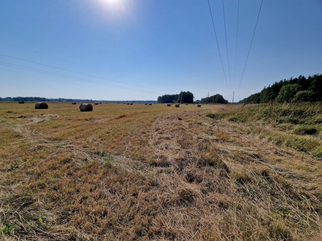 Lääneranna vald, Nurme küla, Sigala