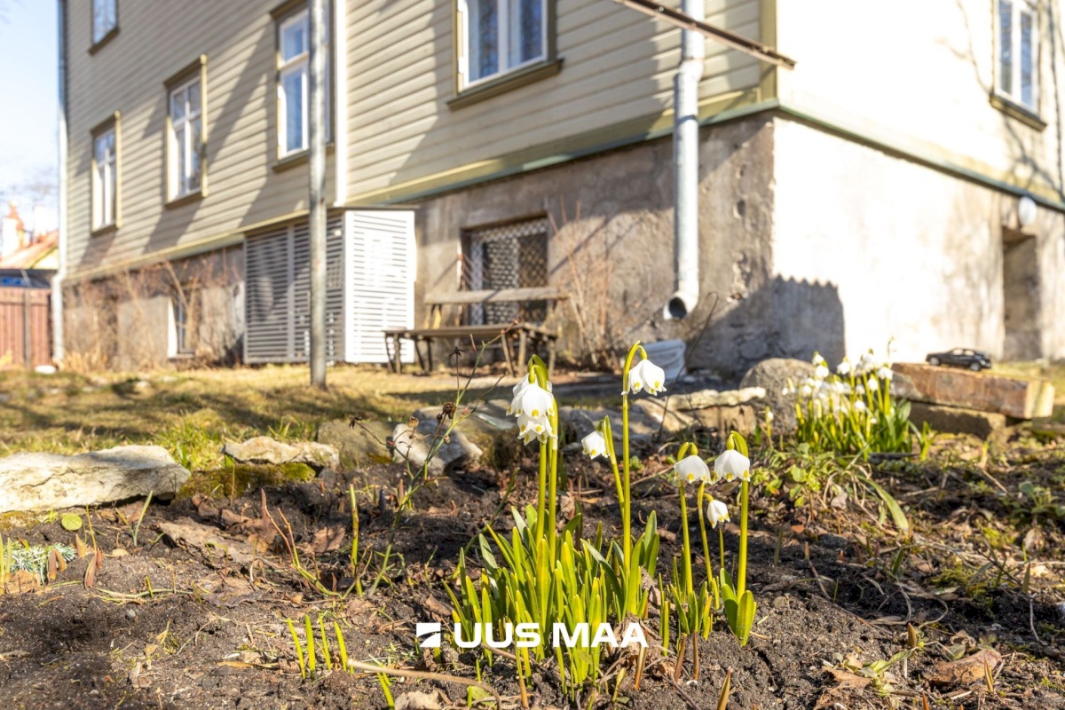 Tallinn, Kristiine linnaosa, Kibuvitsa 8