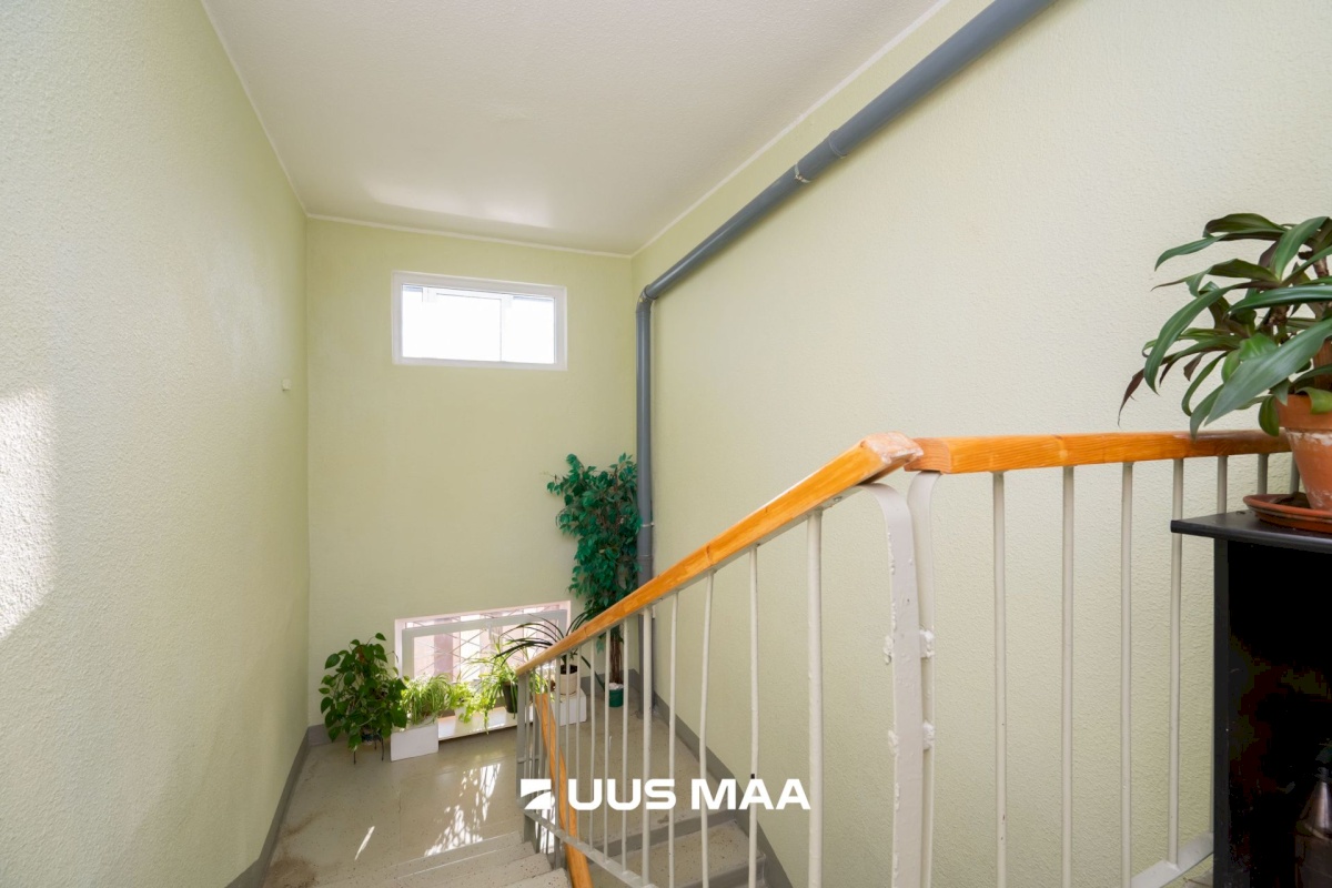 Tallinn, Lasnamäe linnaosa, Punane 67