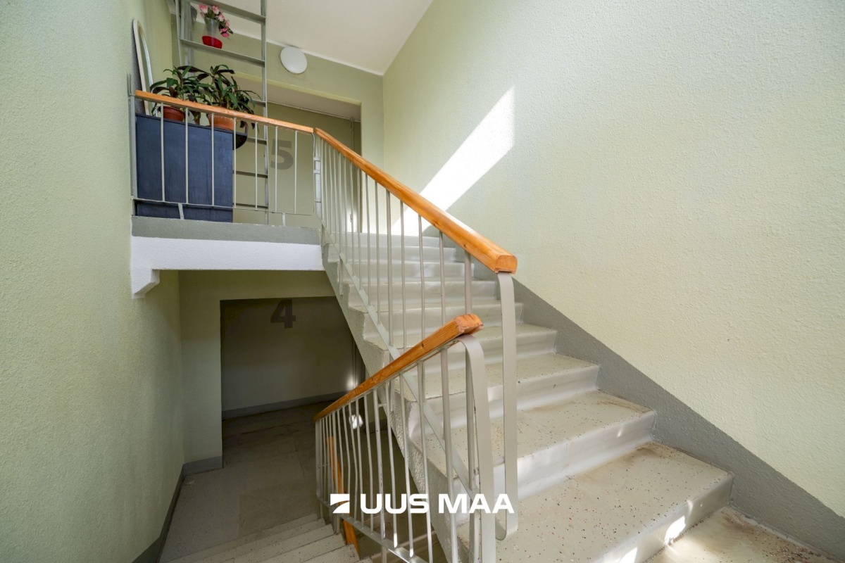 Tallinn, Lasnamäe linnaosa, Punane 67