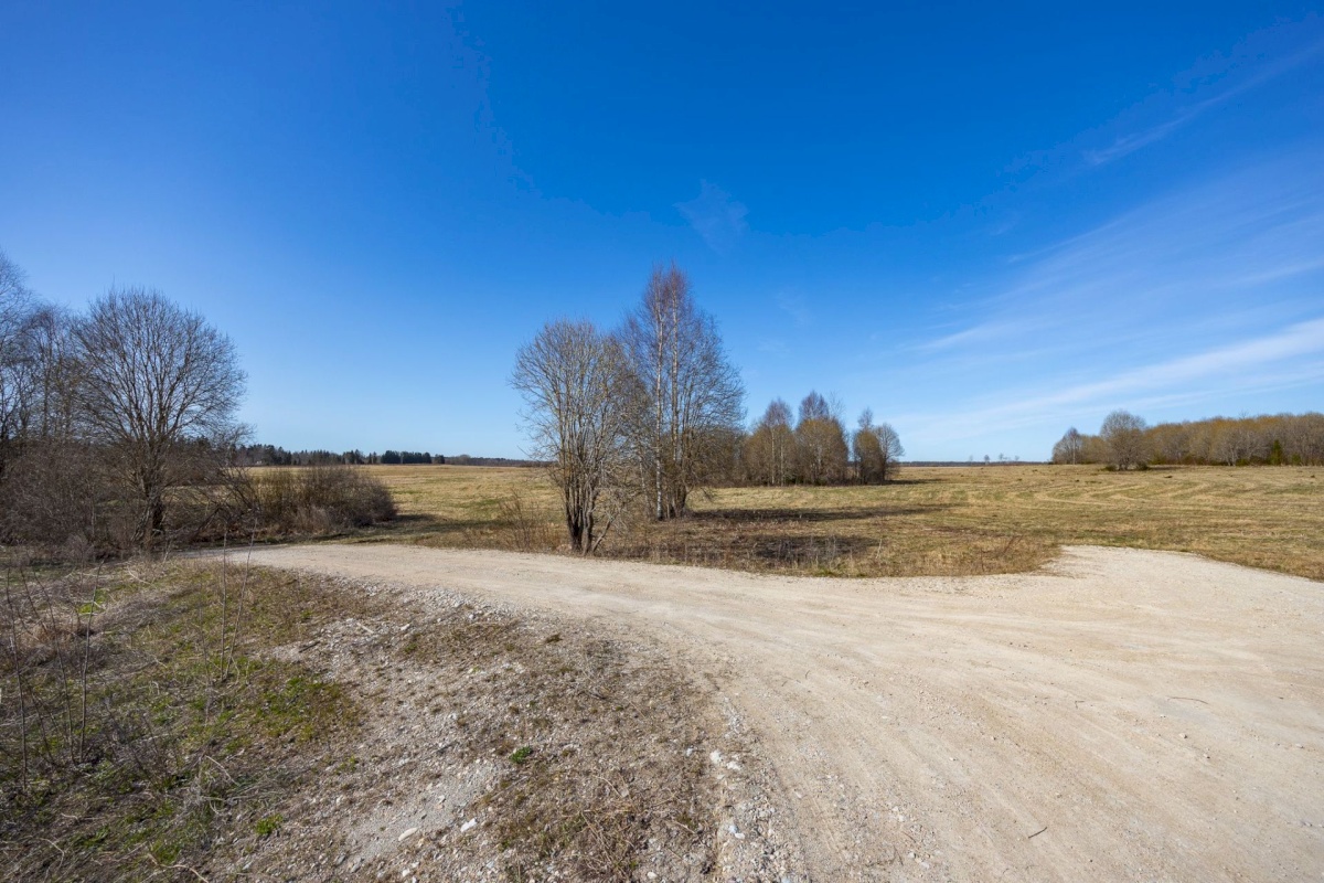 Saku vald, Kajamaa küla, Ojapõllu