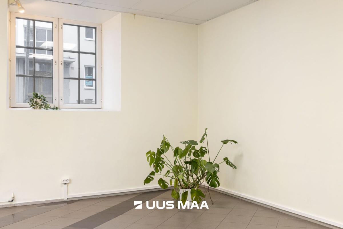 Tallinn, Kesklinna linnaosa, Raua, Raua 39