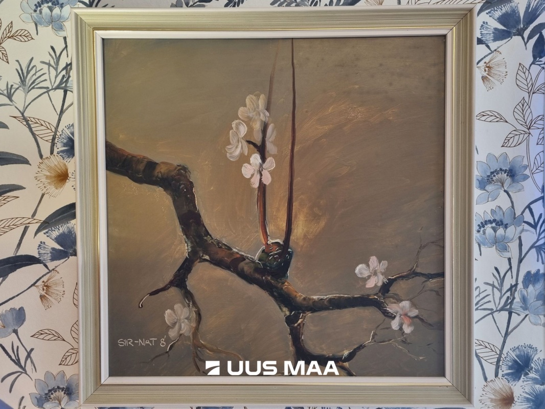 Lüganuse vald, Aa küla, Pupi