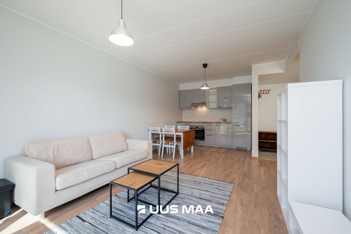 Tartu linn, Tartu linn, Ülejõe, Ülejõe, Puiestee tn 17b