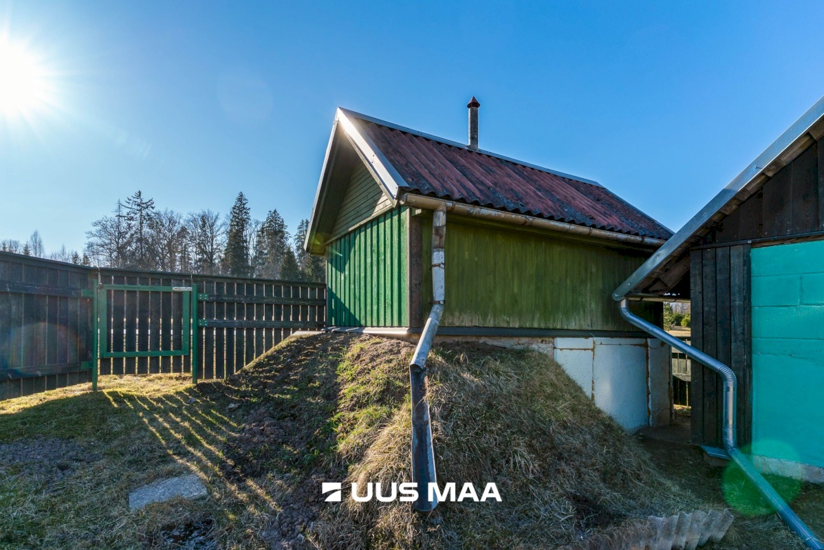 Viljandi vald, Sultsi küla, Vahtriku