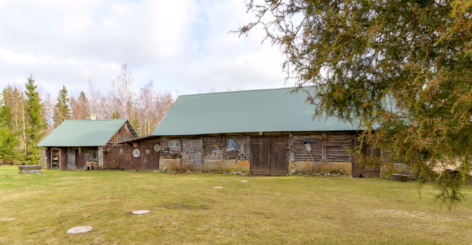 Kadrina vald, Loobu küla