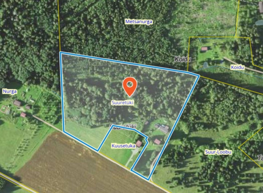 Kadrina vald, Loobu küla