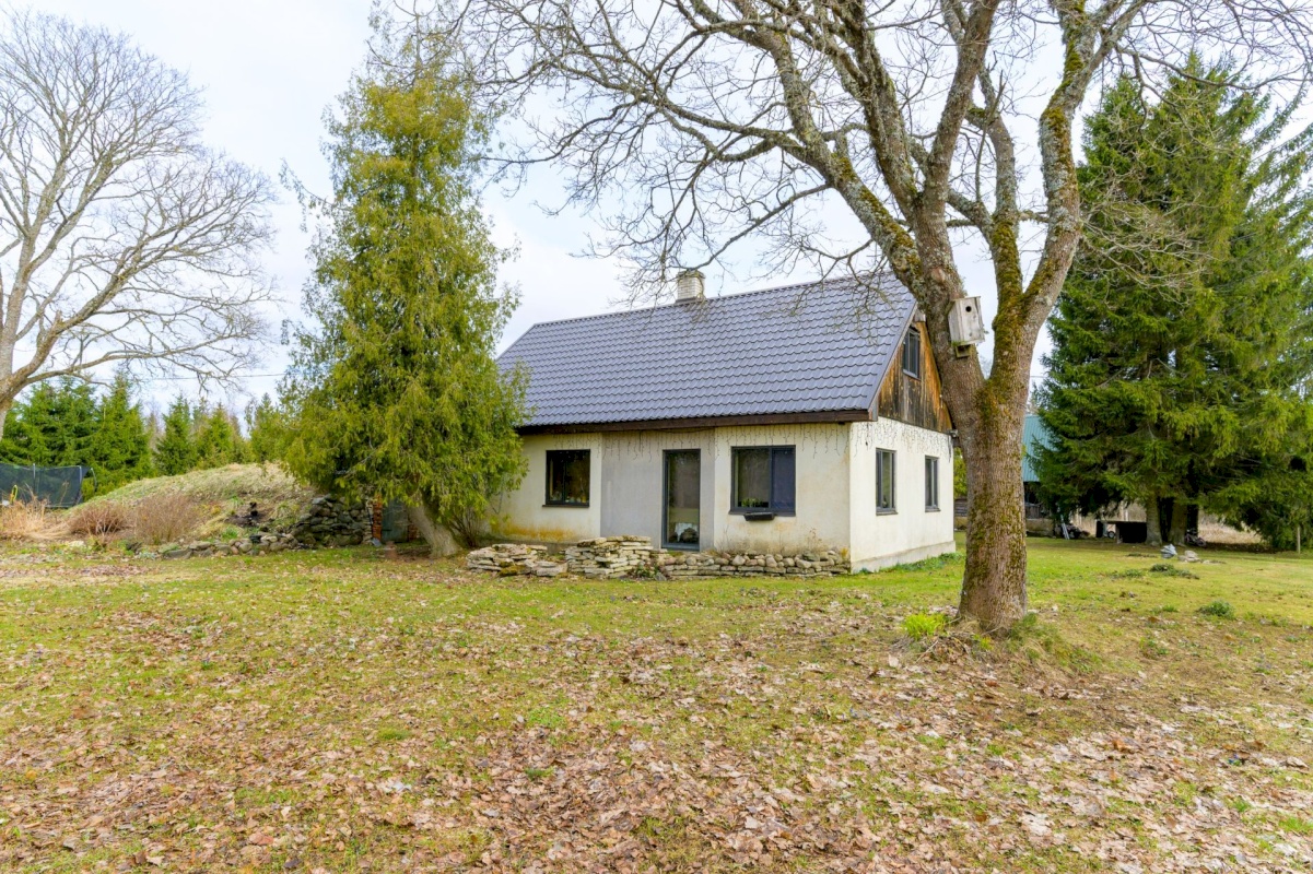 Kadrina vald, Loobu küla