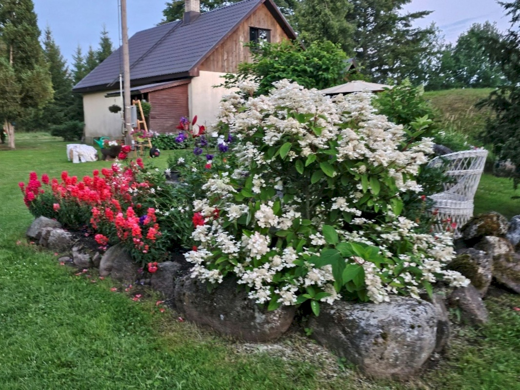 Kadrina vald, Loobu küla