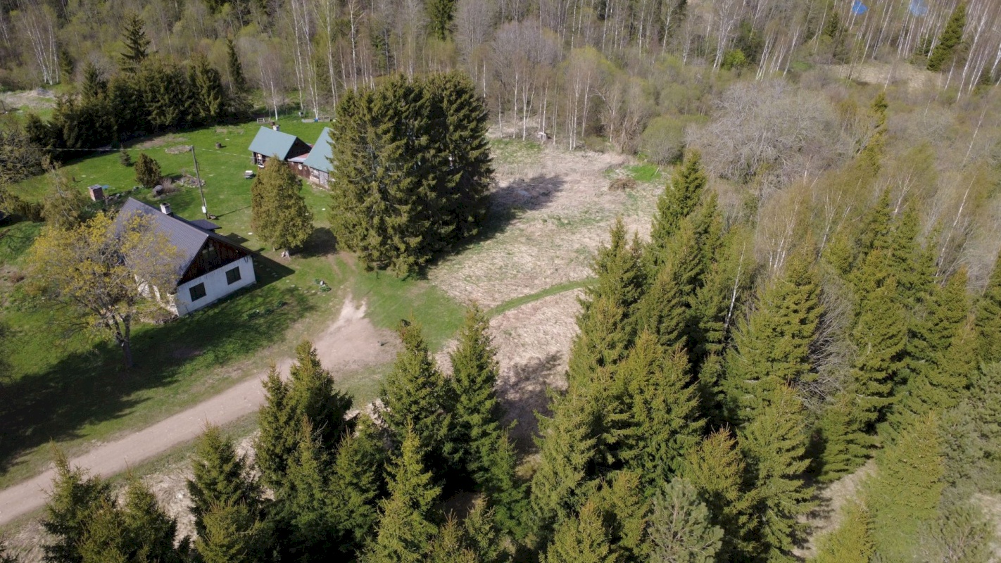 Kadrina vald, Loobu küla