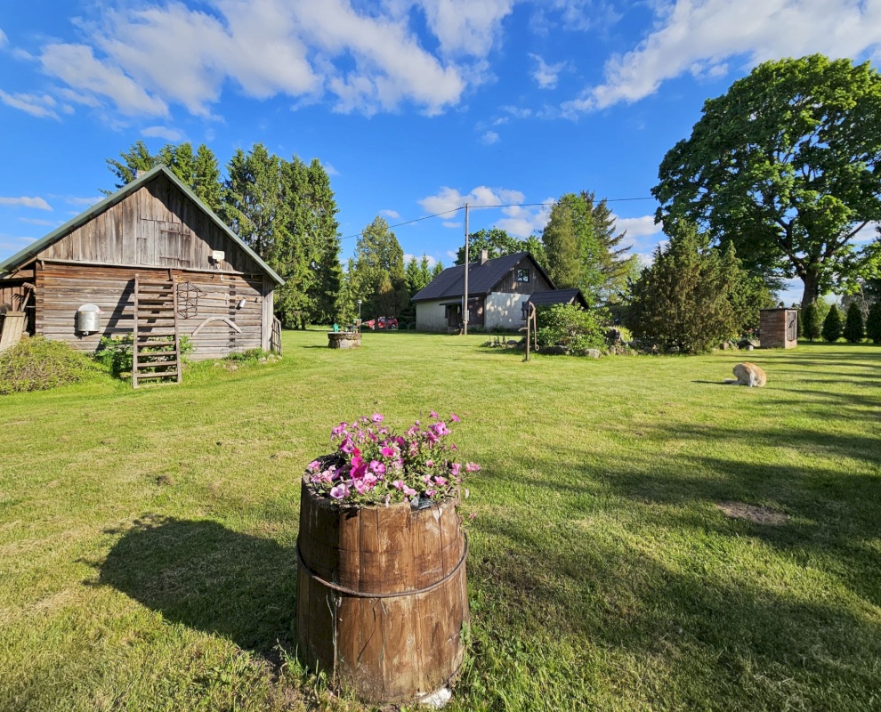 Kadrina vald, Loobu küla