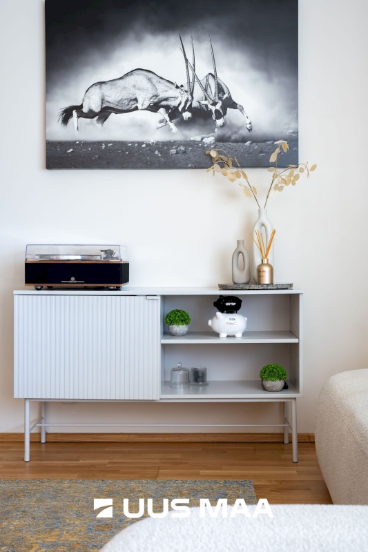 Raasiku vald, Raasiku alevik, Tallinna mnt 33-1