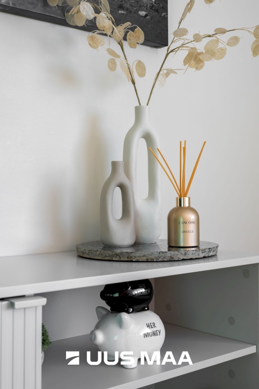 Raasiku vald, Raasiku alevik, Tallinna mnt 33-1