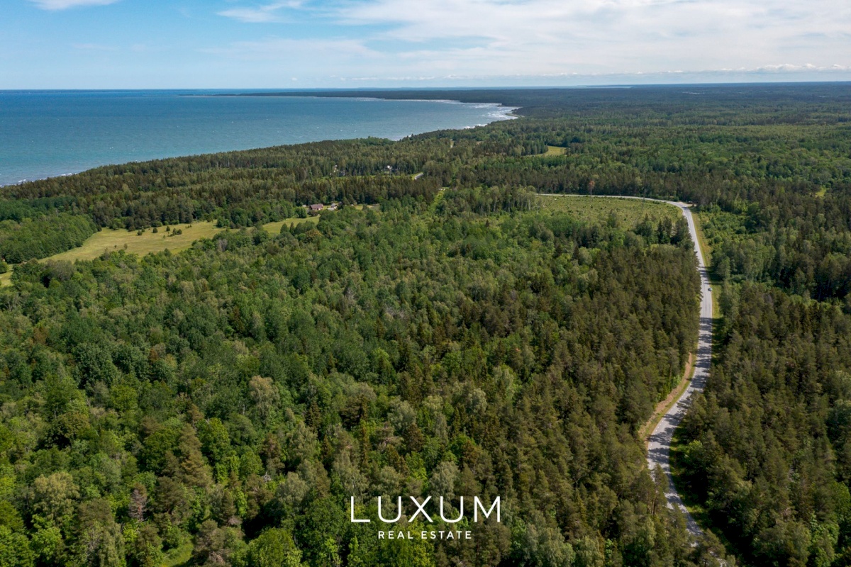 Saaremaa vald, Liiküla, Kurdi