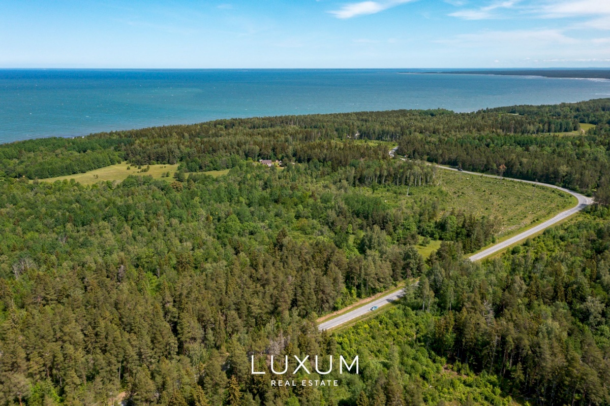 Saaremaa vald, Liiküla, Kurdi