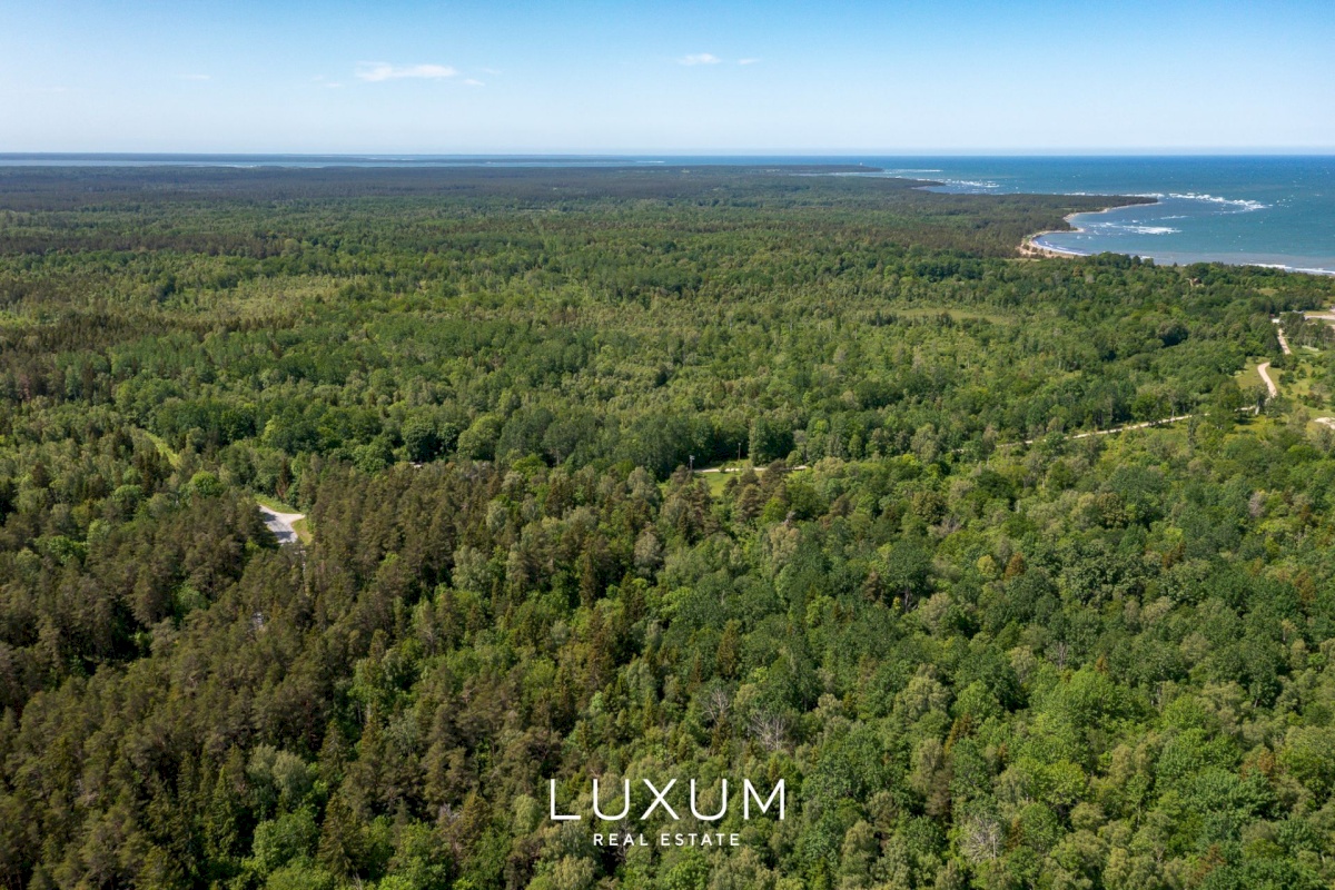 Saaremaa vald, Liiküla, Kurdi