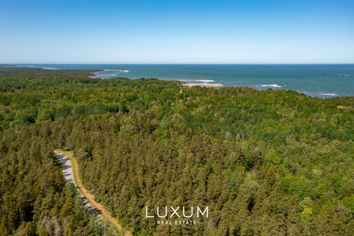 Saaremaa vald, Liiküla, Kurdi