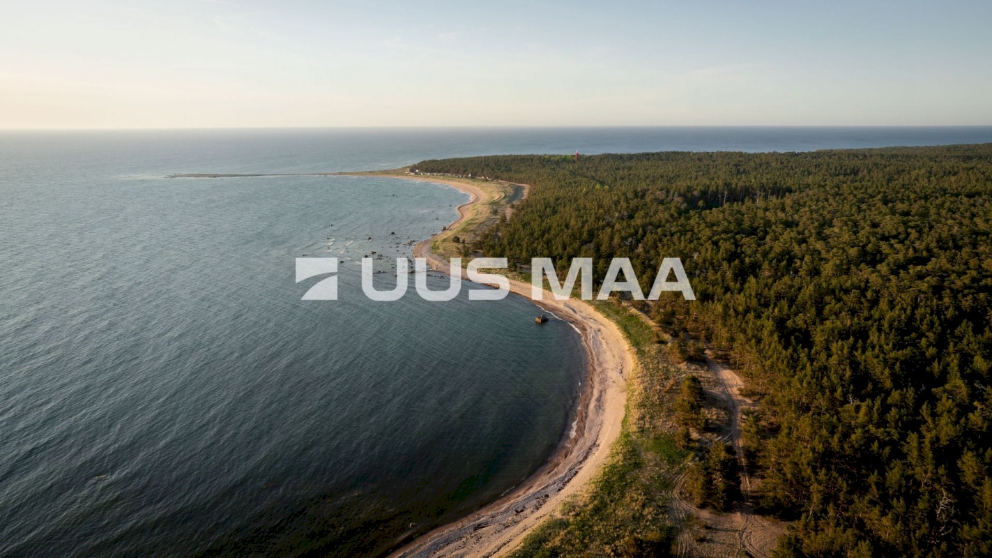 Hiiumaa vald, Kalana küla, Laine