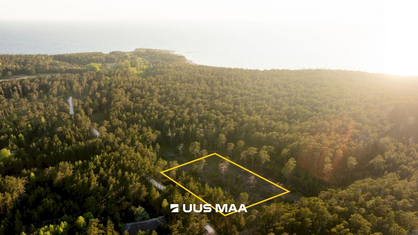 Hiiumaa vald, Kalana küla, Laine