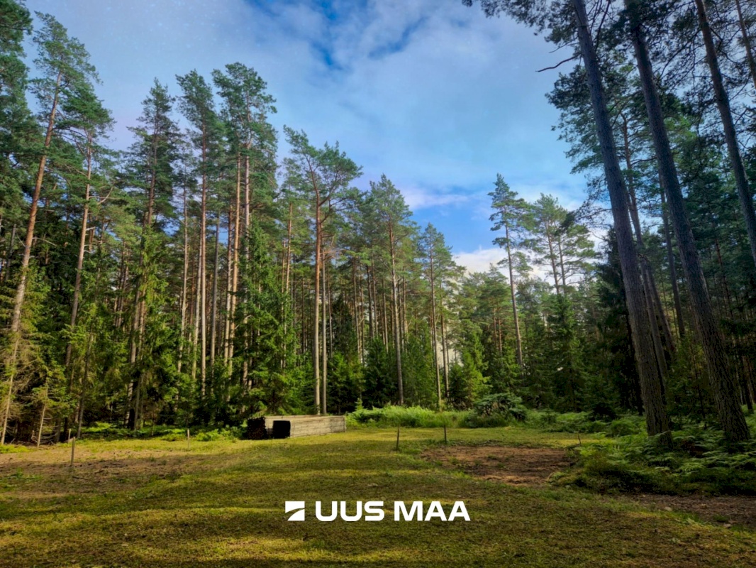 Hiiumaa vald, Kalana küla, Taga-Puumetsa